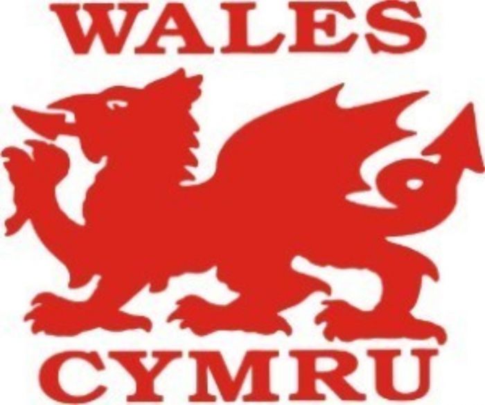 Welsh Car Graphic