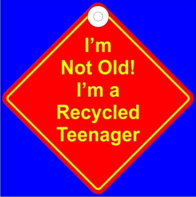 DH74 Recycled Teenager