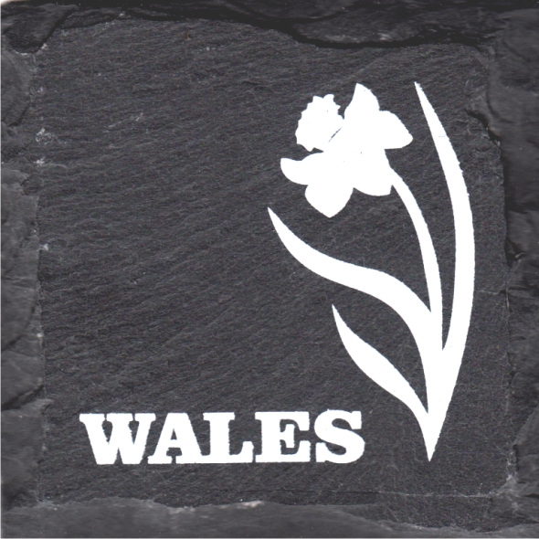 SC11 Slate Coaster With Daffodil Design