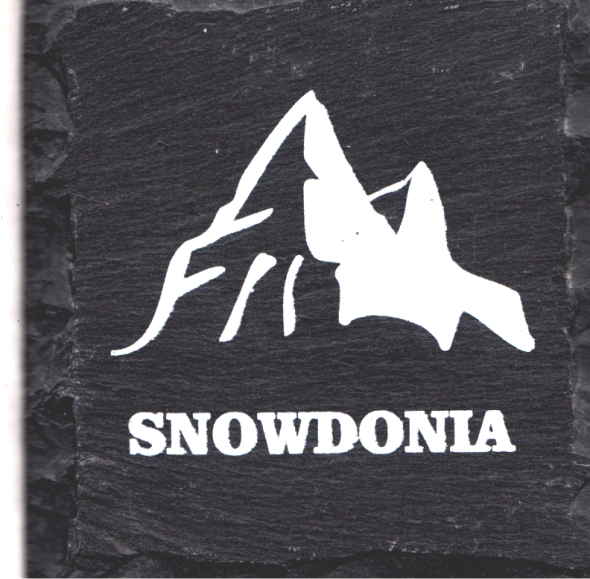 SC16 Slate Coaster With Snowdonia Design